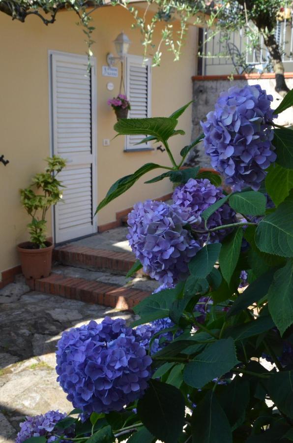 Maison Brinati Bed And Breakfast Monsummano Terme Exterior foto